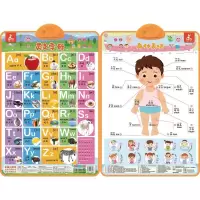 [M]瑞莉兔双面发声大挂图 英文字母 身体表情-9787111666936