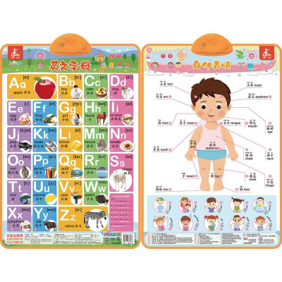 [M]瑞莉兔双面发声大挂图 英文字母 身体表情-9787111666936