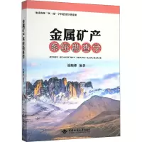 [M]金属矿产系统勘查学-9787562546306