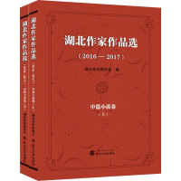 [M]湖北作家作品选(2016-2017) 中篇小说卷(2册)-9787307125315