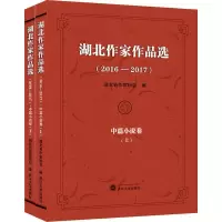 [M]湖北作家作品选(2016-2017) 中篇小说卷(2册)-9787307125315