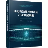 [M]动力电池技术创新及产业发展战略-9787122393715