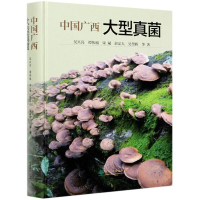 [M]中国广西大型真菌(精) 吴兴亮//谭伟福//宋斌//彭定人//吴望辉 著 -9787521904680