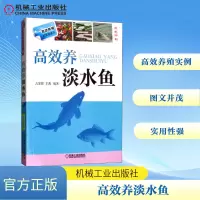 [M]高效养淡水鱼-9787111512851