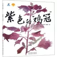 [M]紫色的