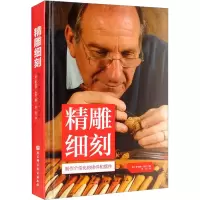 [M]精雕细刻 (英)罗伯特·朱布 著 李月 译 -9787571418939