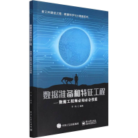 [M]数据准备和特征工程――数据工程师必知必会技能-9787121382635