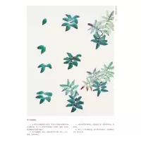 [M]名家教你画紫藤 张贤明 著 -9787540152741