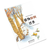 [M]四季告诉你的科学. 植物如何过冬 [韩]韩永植 著 锐拓 译 -9787544565585