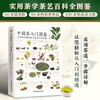 [M]中国茶入门图鉴 从喝茶到懂茶的中国茶文化手册 全新升级版-9787571317942