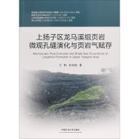 [M]上扬子区龙马溪组页岩微观孔缝演化与页岩气赋存-9787564638207