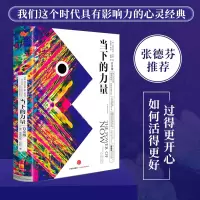 [M]当下的力量 白金版-9787508661766