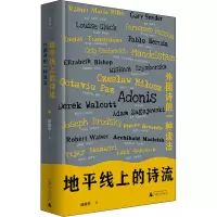 [M]地平线上的诗流 外国诗的一种读法 娥娥李 著 -9787559846549