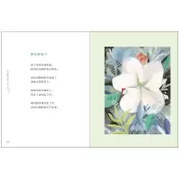 [M]月亮的歌谣 (日)金子美铃 著 吴菲 译 -9787559726292