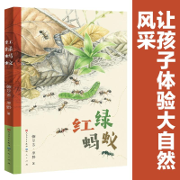 [M]红绿蚂蚁-9787501617739