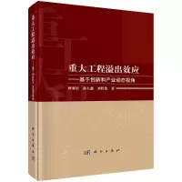 [M]重大工程溢出效应——基于创新和产业动态视角-9787030705938