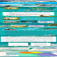 [M]鹿精灵-9787544873864