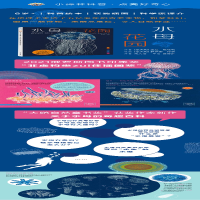 [M]水母花园-9787544790857