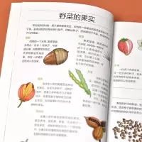 [M]野菜图鉴-9787553753652