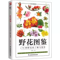 [M]野花图鉴-9787553757537