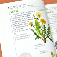 [M]药用植物图鉴-9787553753034