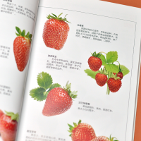 [M]常见水果图鉴-9787553756080