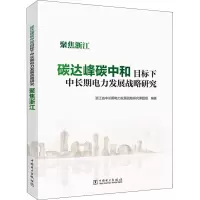 [M]碳达峰碳中和目标下中长期电力发展战略研究 聚焦浙江-9787519863548