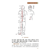 [M]手到病除之经络养生:十二经脉与奇筋八脉-9787572705366
