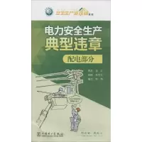 [M]电力安全生产典型违章-1551232512