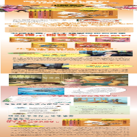 [M]住密室的预言大师-9787558911644