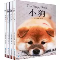 [M]治愈系科普图鉴:小狗+小猫+鸟+企鹅(全4册)-9787553209814