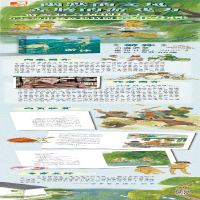 [M]游泳-9787573600394