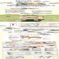 [M]开始吧!养一只柴犬-9787559124098