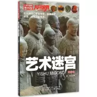[M]艺术迷宫-9787531565017