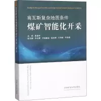 [M]高瓦斯复杂地质条件煤矿智能化开采-9787564639839