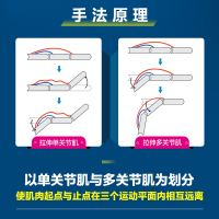 [M]基于运动功能的选择性拉伸 上肢-9787115578389