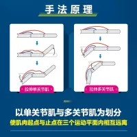 [M]基于运动功能的选择性拉伸 上肢-9787115578389