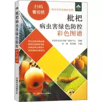 [M]枇杷病虫害绿色防控彩色图谱-9787109294400