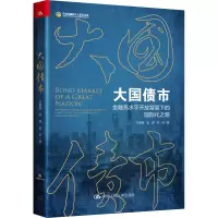 [M]大国债市 金融高水平开放背景下的国际化之路-9787300302614