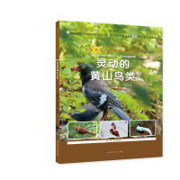 [M]灵动的黄山鸟类/大美黄山自然生态名片丛书-9787569944631