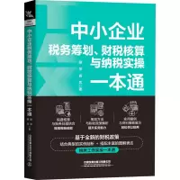 [M]中小企业税务筹划、财税核算与纳税实操一本通-9787113291372