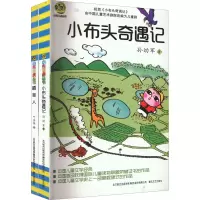 [M]小布头奇遇记+稻草人(全2册)-2200432000550