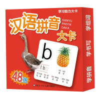 [M]汉语拼音大卡/学习助力大卡 云飞扬 著 -9787572801242
