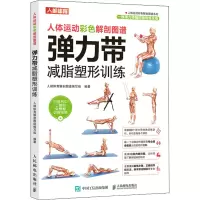 [M]人体运动彩色解剖图谱 弹力带减脂塑形训练-9787115553768