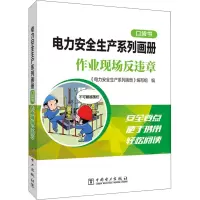 [M]电力安全生产系列画册 口袋书 作业现场反违章-9787519866709