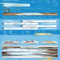 [M]一个孩子向前走去-9787571514525