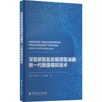 [M]深层碳酸盐岩缝洞型油藏新一代数值模拟技术-9787511466150