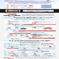 [M]核心训练彩色解剖图谱-9787115552471