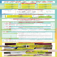 [M]恋练有题 决胜高考生物 小题大做-9787572238857