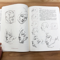 [M]伯里曼人体结构绘画教程 导学版-9787121438295